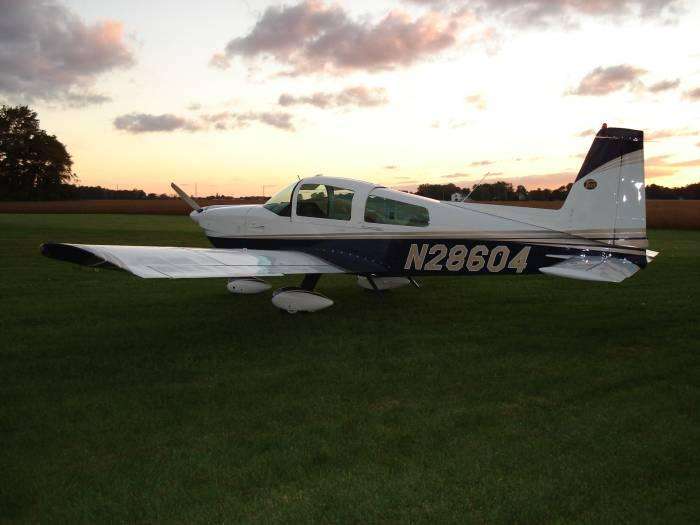 Tiger new pic october