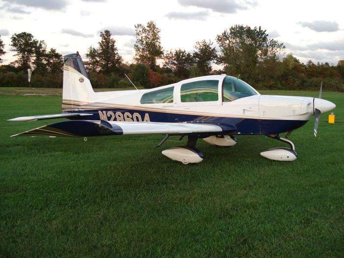 tiger new pic october 2